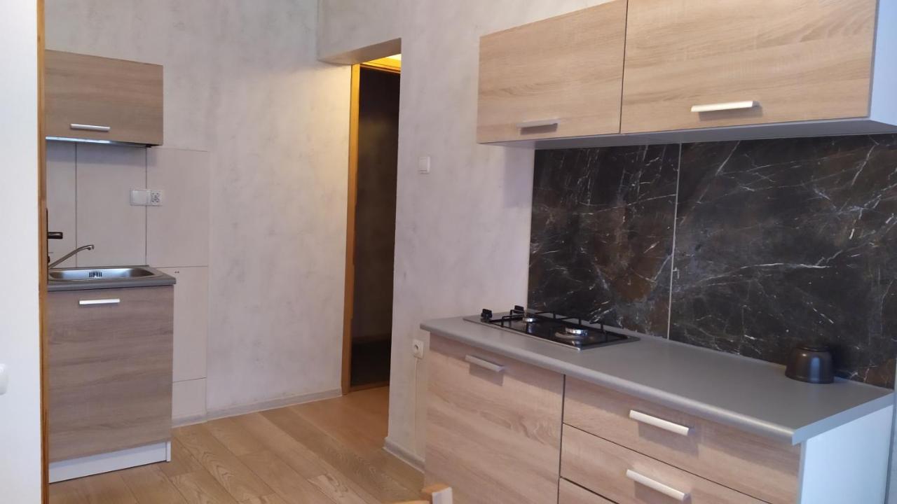 Apartamenty Z Widokiem Na Gory Буковина Татранська Екстер'єр фото